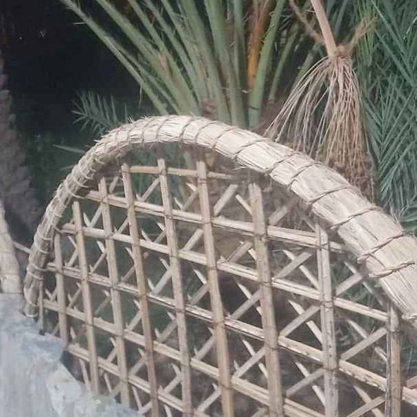 1738480903109.webp