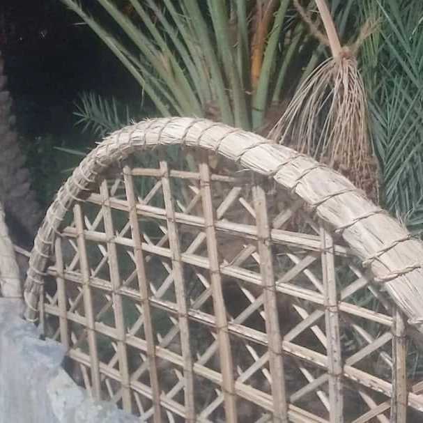 1738480903109.webp
